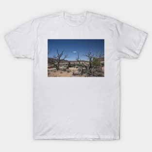 850_3881 T-Shirt